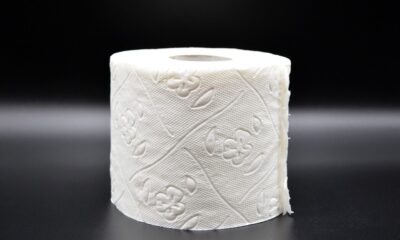 toilet paper, hygiene, loo, role, wc, toilet, paper, corona, virus, sanitary, lockdown, toilet paper, toilet paper, toilet paper, toilet paper, toilet paper