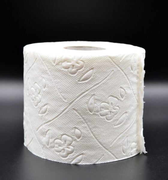 toilet paper, hygiene, loo, role, wc, toilet, paper, corona, virus, sanitary, lockdown, toilet paper, toilet paper, toilet paper, toilet paper, toilet paper