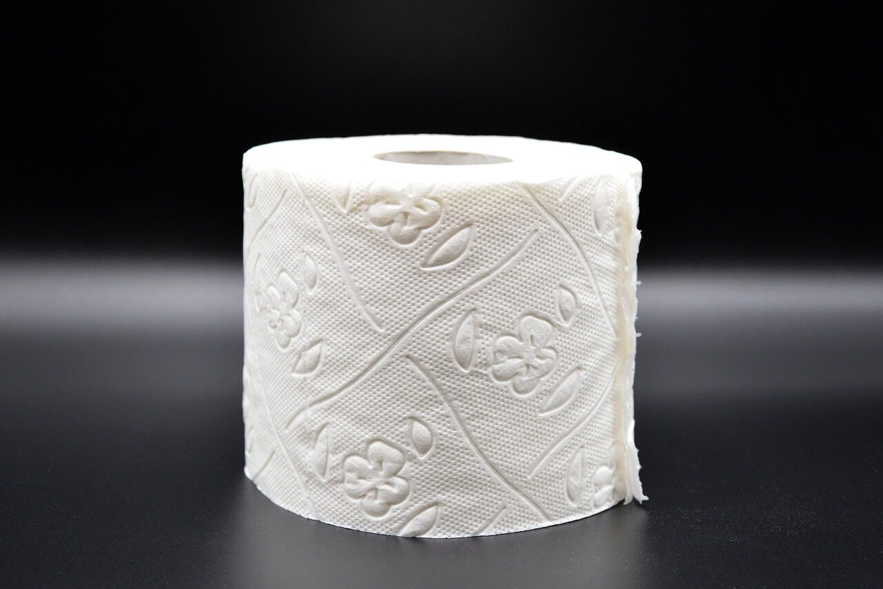 toilet paper, hygiene, loo, role, wc, toilet, paper, corona, virus, sanitary, lockdown, toilet paper, toilet paper, toilet paper, toilet paper, toilet paper