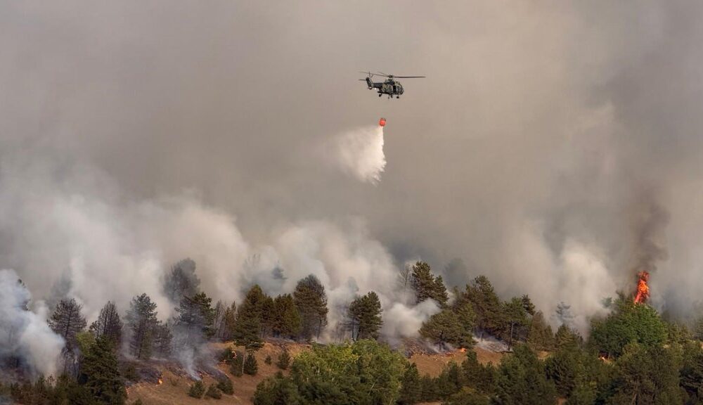 Požar u Deliblatskoj peščari, angažovano više od 30 vatrogasaca i helikopteri