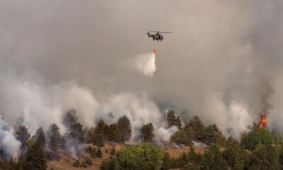 Požar u Deliblatskoj peščari, angažovano više od 30 vatrogasaca i helikopteri