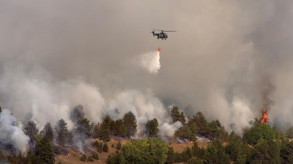 Požar u Deliblatskoj peščari, angažovano više od 30 vatrogasaca i helikopteri