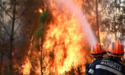 Požari na Ibarskoj klisuri kod Kraljeva, vatrogasci se bore sa vatrom