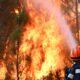 Požari na Ibarskoj klisuri kod Kraljeva, vatrogasci se bore sa vatrom
