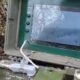 Ukrajina koristi robote ubice u borbi, dron prevozi kopnenog robota iza linija – roboti ubice na frontu