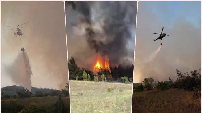Veliki požar u Deliblatskoj peščari, angažovani vatrogasci i helikopteri