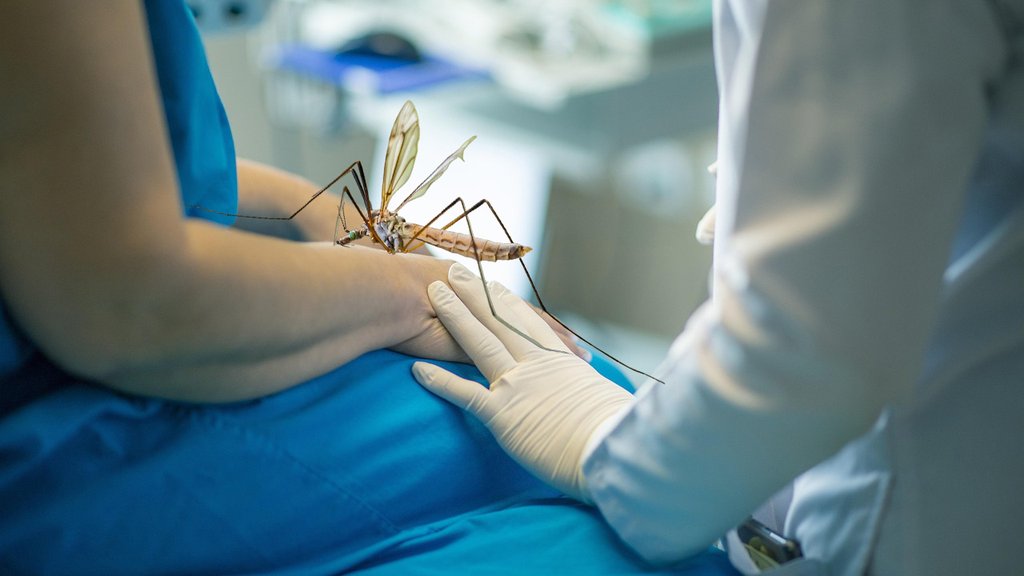 Groznica Zapadnog Nila u Srbiji: Prvi slučajevi sa težim simptomima potvrđeni u Beogradu