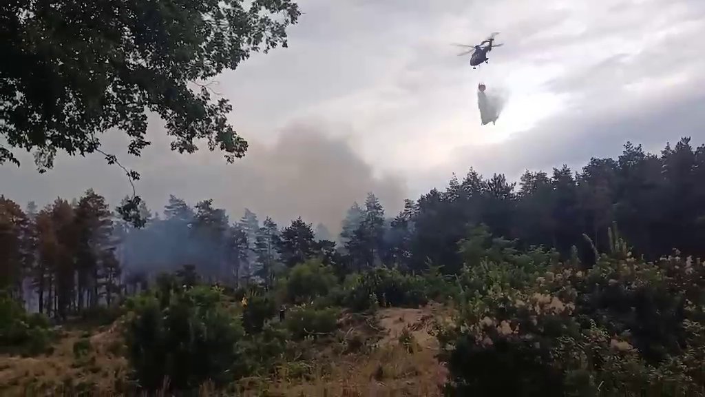 Požari u Srbiji zahvatili više lokacija, angažovano 135 vatrogasaca i helikopteri