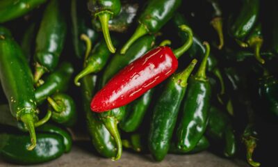 Qdoba povukla jalapeno papričice iz restorana zbog upozorenja CDC-a o epidemiji salmoneloze – salmonela u jalapeno papričicama