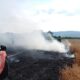 Toplotni talas u Srbiji: Rekordne temperature i opasnost od požara na više lokacija