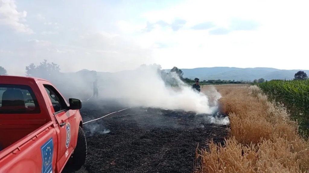 Toplotni talas u Srbiji: Rekordne temperature i opasnost od požara na više lokacija
