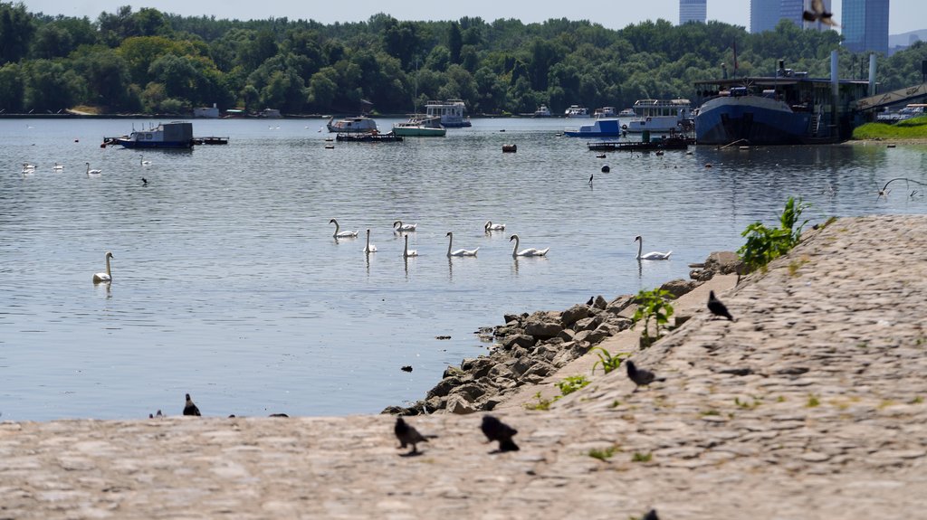 Vodostaj Dunava u Mađarskoj stabilizovan posle istorijskog minimuma
