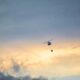 Vojska Srbije angažuje helikoptere za gašenje požara u Deliblatskoj peščari – Vojska Srbije Deliblatska peščara