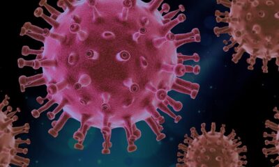 virus, covid, science, covid19, virus, covid, covid, covid, covid, covid