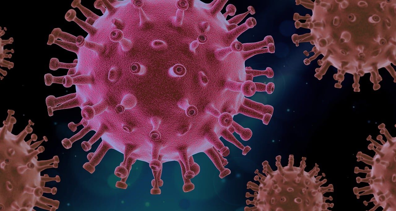 virus, covid, science, covid19, virus, covid, covid, covid, covid, covid