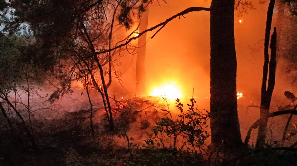 Dim sa Deliblatske peščare stigao do Beograda: Vetar širi miris paljevine širom grada
