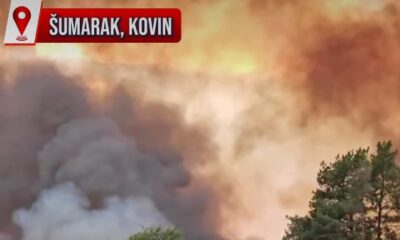 Požar u Deliblatskoj peščari: Vatrogasci na terenu, stanje se prati