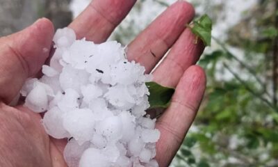 Nevreme pogodilo Rumuniju, oluja u Alešdu čupala drveće i nosila krovove