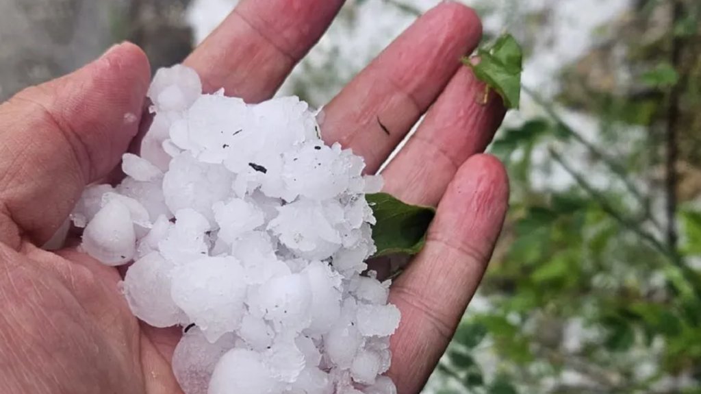 Nevreme pogodilo Rumuniju, oluja u Alešdu čupala drveće i nosila krovove