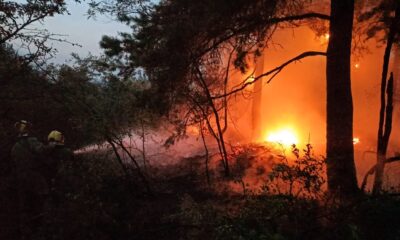 Požar iznad Deliblatske peščare: 26 sati borbe i 270 tona vode iz vazduha