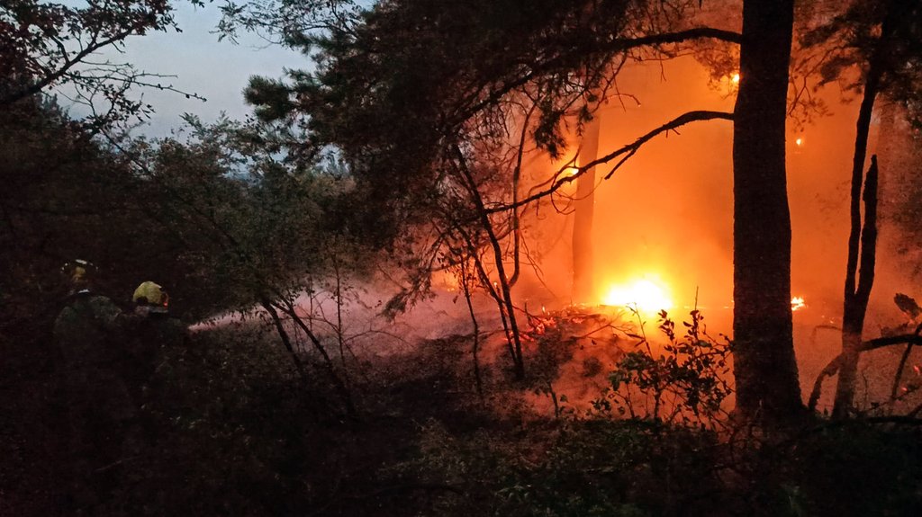 Požar iznad Deliblatske peščare: 26 sati borbe i 270 tona vode iz vazduha