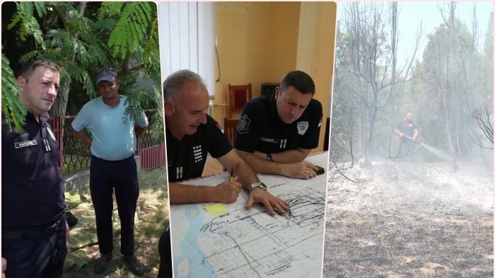 Požar u Deliblatskoj peščari: Luka Čaušić vodi akciju gašenja na terenu