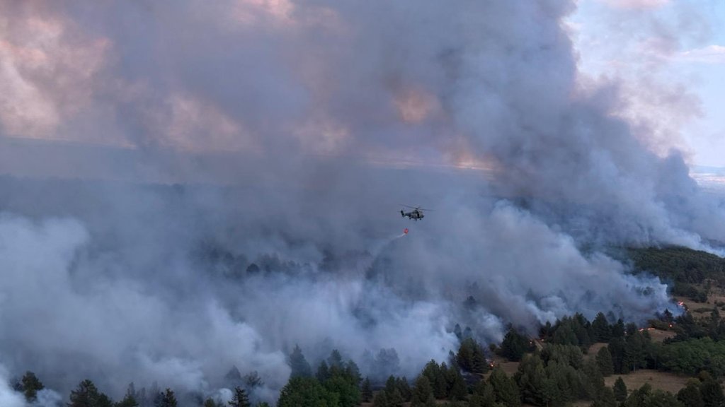 Požar u Deliblatskoj peščari: Vatrogasci se bore sa plamenom, evakuisani meštani u suzama