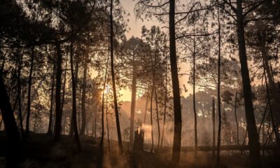 Visoke temperature izazvale požare širom Mađarske, izdato upozorenje građanima – požari na otvorenom u Mađarskoj