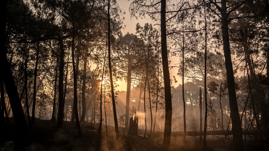 Visoke temperature izazvale požare širom Mađarske, izdato upozorenje građanima – požari na otvorenom u Mađarskoj