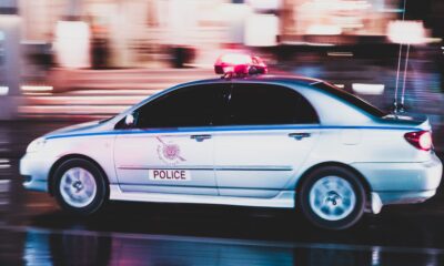 Zamena rodea za policijsku akciju: Zamajac iz Alabame vraćen bez povreda – potera za zamajcem u Alabami