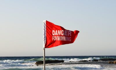 red flag, warning, danger, rough sea, nature, caution, beach, wind, dangerous, safety, waves, alert, risk, attention