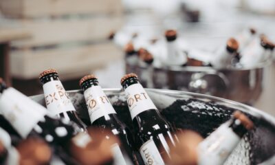 Belgija izvezla 1,5 milijardi litara piva, Francuska uvezla 900 miliona litara – izvoz piva