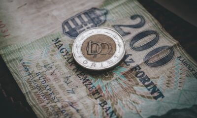 Forinta oslabila na 367 za evro zbog pada proizvodnje u Pakšu i rasta cena energije – forinta za evro