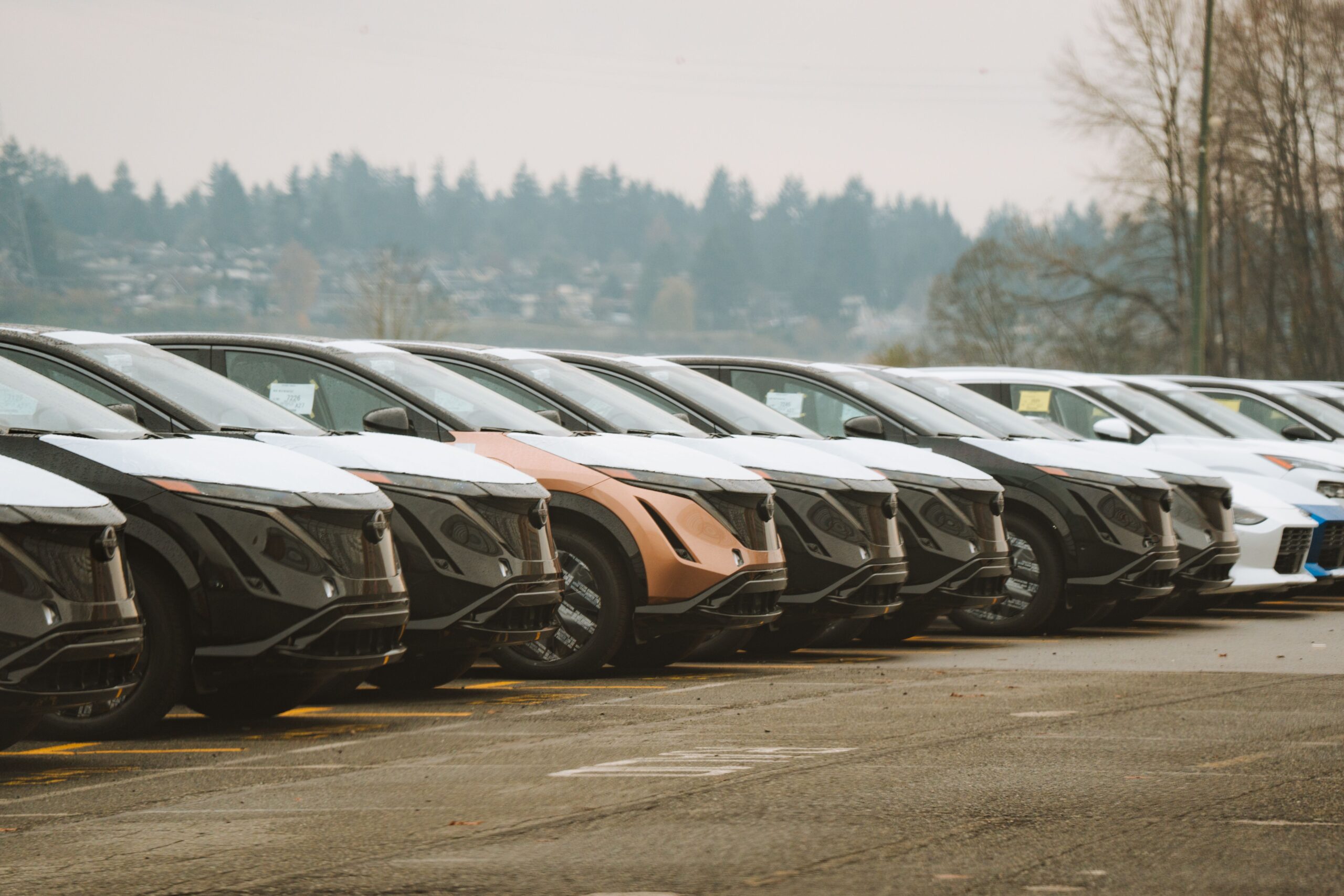 Kineski proizvođači električnih automobila povećali udeo na tržištu Evrope na 14,2 odsto – kineski električni automobili
