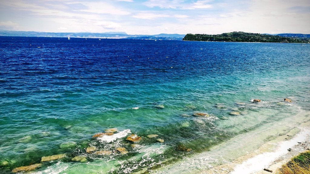Opasna riba lav u Jadranu: Turisti zabrinuti zbog novog ulova kod Njivica