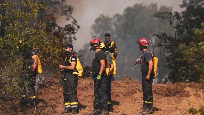 Požar u Deliblatskoj peščari: Koliko je šume izgorelo i šta donosi smirivanje vremena