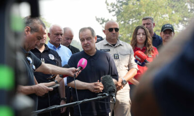 Ivica Dačić tokom meča Crvene zvezde: Podrška iako navija za Partizan – Ivica Dačić Crvena zvezda Liga šampiona