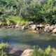 Peaceful river scene in a forest with greenery and rocks on a sunny day.