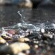 message in a bottle, nature, beach, water, sea, lake, drops, waves