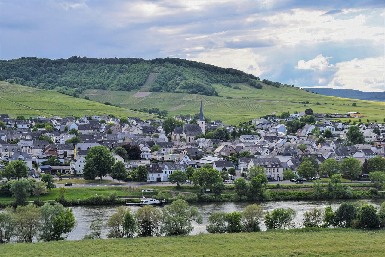 village, musel, river, vineyards, viticulture, leiwen, village, village, village, village, village