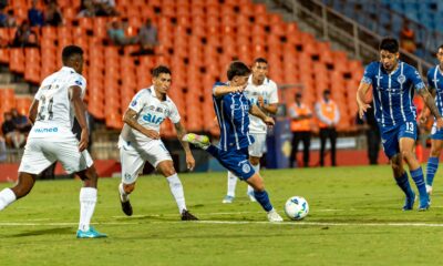 Federico Gattoni prelazi iz Sevilje u Ascoli: Novi početak za argentinskog defanzivca – transfer Federica Gattonija