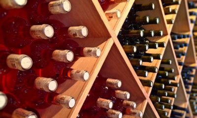 Investitorsko kolekcionarstvo u Srbiji donosi rast vrednosti do 530.000 evra
