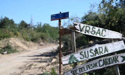 Požari u Deliblatskoj peščari: Šumarak bezbedan za povratak, oprez i dalje neophodan