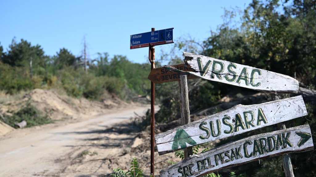 Požari u Deliblatskoj peščari: Šumarak bezbedan za povratak, oprez i dalje neophodan