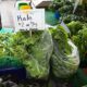 Salata iz kese: Koje rizike donosi i kako ih izbeći