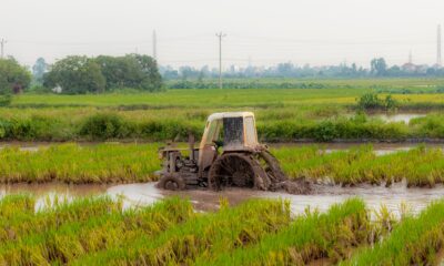 Srbija usmerava podsticaje ka investicijama i modernizaciji poljoprivrede do 2034. – agrarna politika do 2034.