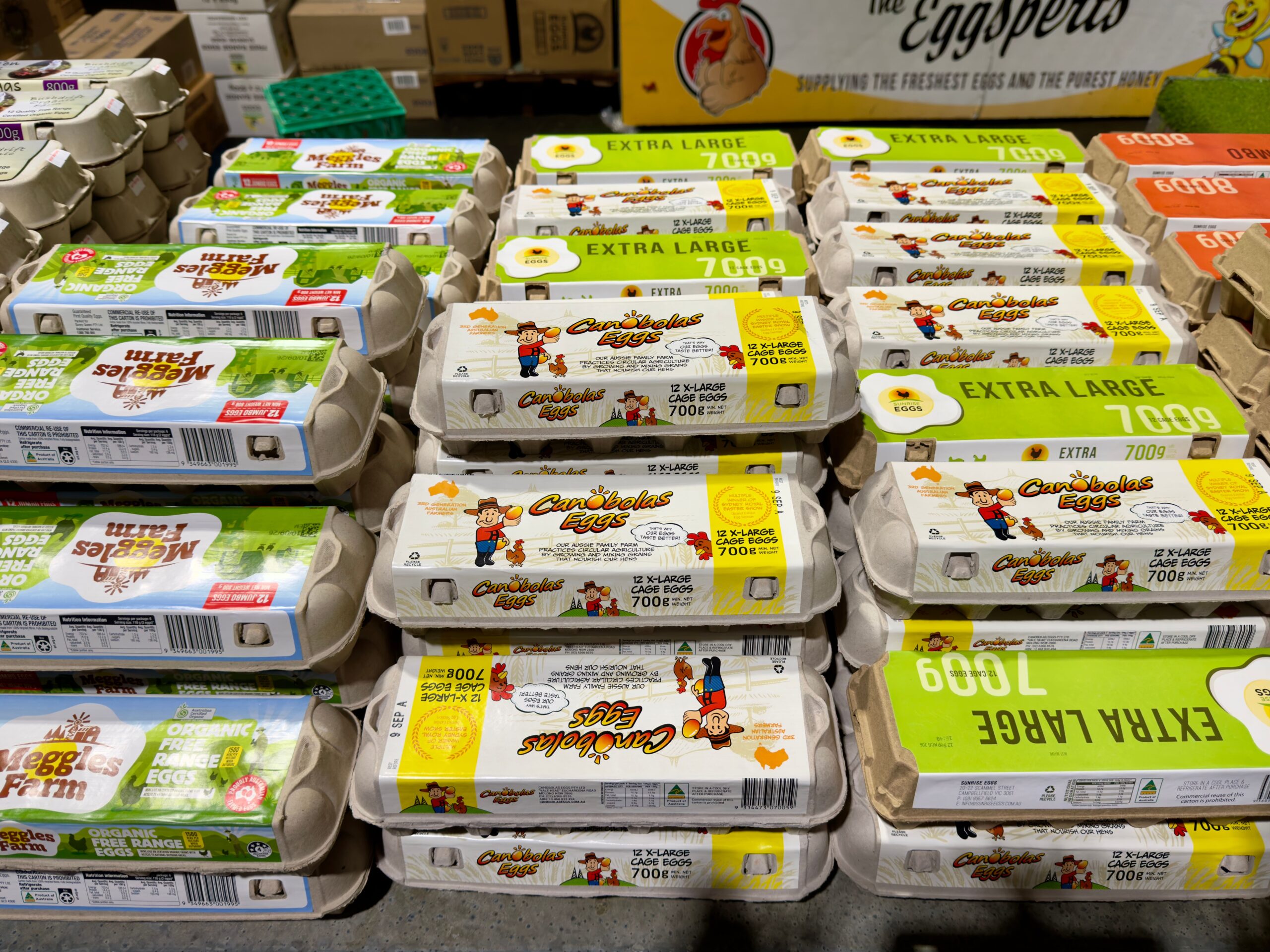 FDA podiže nivo rizika povlačenja jaja povezanih sa salmonelom na najviši – povlačenje jaja salmonela