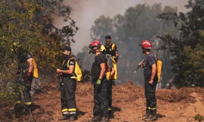 Požar u Bojniku lokalizovan: Vatrogasci nastavljaju borbu protiv širenja vatre