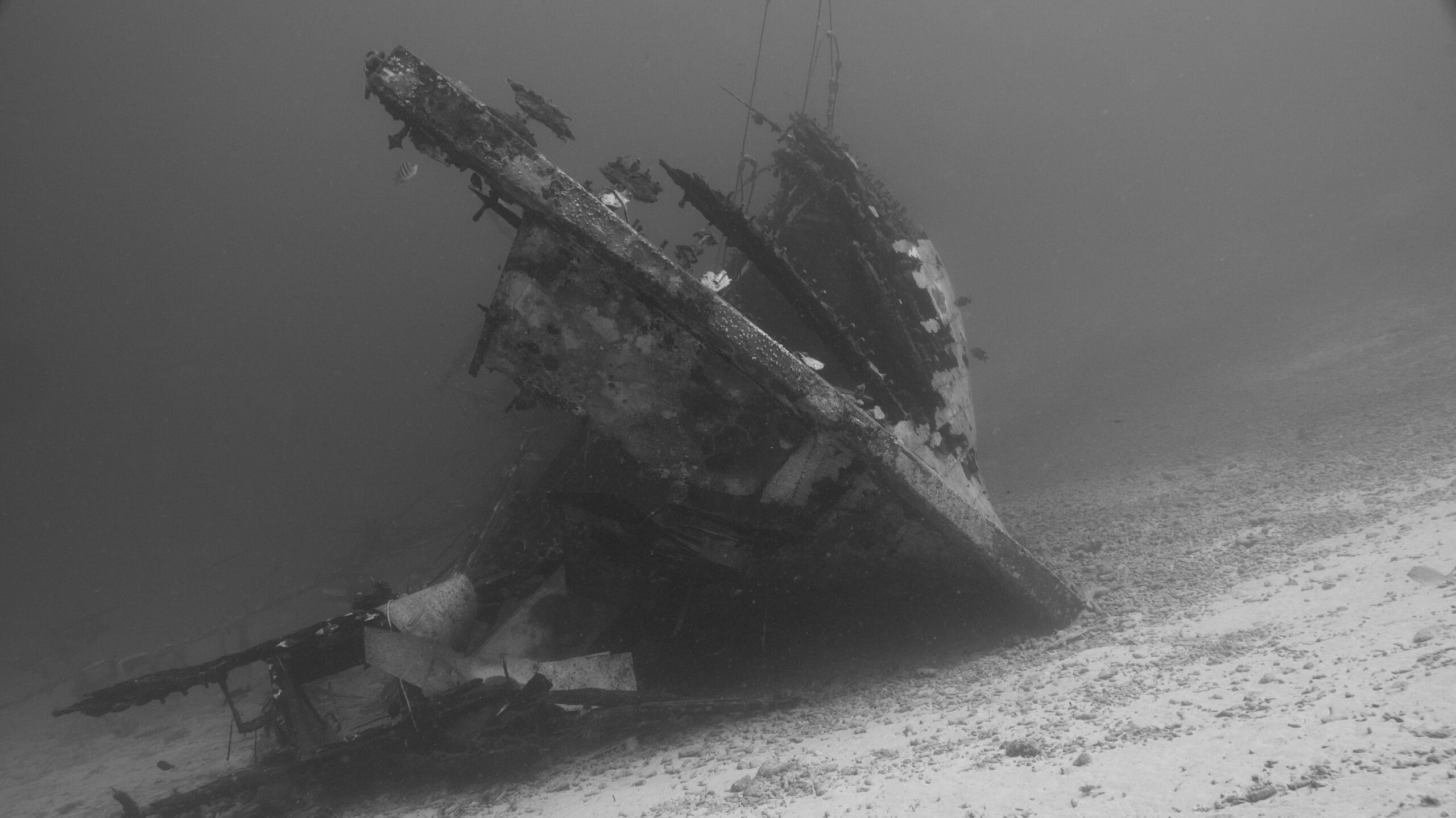 Pronađena olupina ratnog broda HMS Tiger, potonula 1908. godine – olupina HMS Tiger
