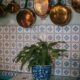 Charming kitchen decor featuring hanging copper pots and patterned blue tiles with a potted plant.